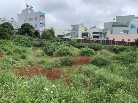 Gia Lai: Thu hồi dự án đầu tư Hoàng Nhi Plaza