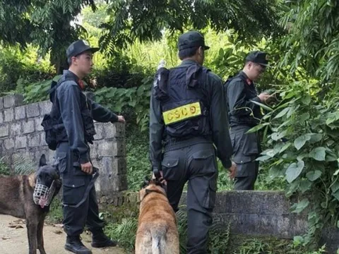 Vụ Hải Như mất tích: Lấy mẫu đất ở nhiều địa phương so sánh với vết đất trên xe máy