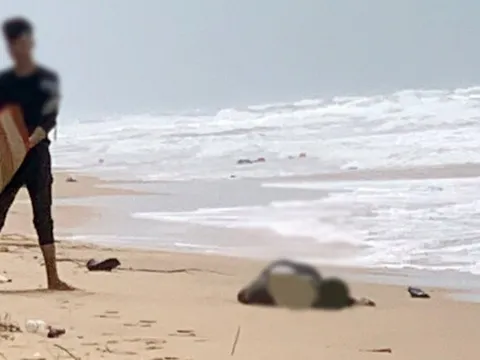 Khẩn trương làm rõ việc nhiều thi thể đang phân hủy trôi dạt vào bờ biển Phú Quốc