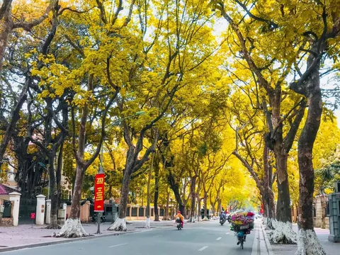 Dự báo thời tiết ngày 29/10: Bắc Bộ và Bắc Trung Bộ sáng sớm sương mù, trưa chiều nắng