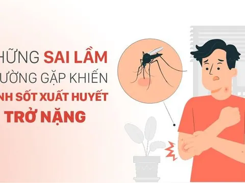 Chuyên gia chỉ 3 sai lầm thường gặp khiến bệnh nặng do sốt xuất huyết