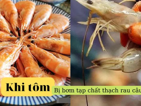 Rộ thông tin 'tôm càng được bơm tạp chất thạch rau câu càng tốt cho sức khỏe': Chuyên gia nói gì?