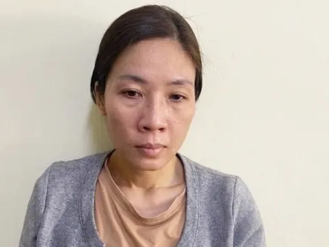 Nữ giúp việc lên mạng học cách mở két sắt rồi lấy trộm hơn 2 tỷ đồng của gia chủ