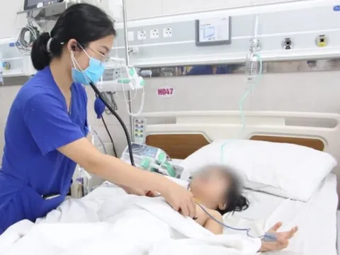 Gia đình nuôi ong vò vẽ, bé gái bị tổ ong rơi trúng đầu đốt hàng chục vết phải nhập viện khẩn