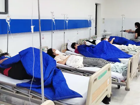 Vụ hàng trăm học sinh ngộ độc ở Khánh Hoà: Bộ Y tế điều chuyên gia chống độc đầu ngành hỗ trợ điều trị