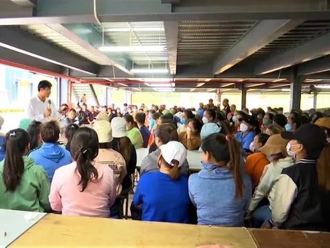 Công ty SSLV Đà Nẵng tuyên bố giải thể, 500 công nhân bị thôi việc