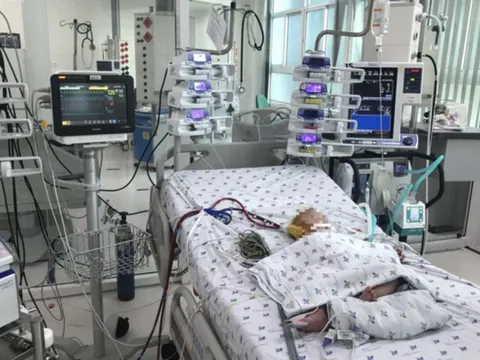 Bé 7 tháng tuổi sốc sốt xuất huyết được can thiệp ECMO cứu sống
