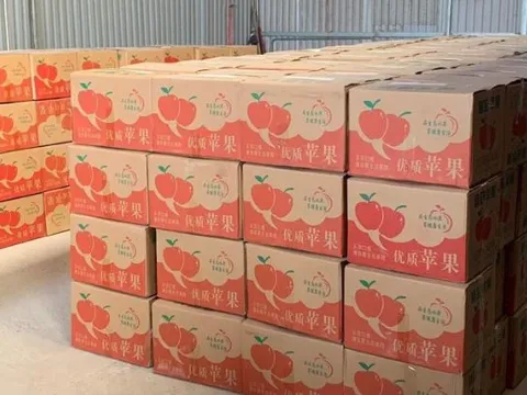 Triệt phá đường dây mua bán pháo nổ lớn nhất từ trước đến nay tại Hà Nội