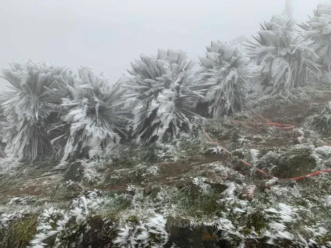 Từ 17/12, Bắc Bộ rét đậm rét hại, có nơi dưới 0 độ C