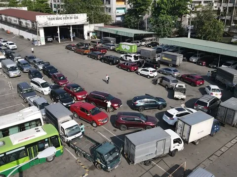 Một Giám đốc trung tâm đăng kiểm ở TP HCM không biết chữ, chỉ học đến lớp ba