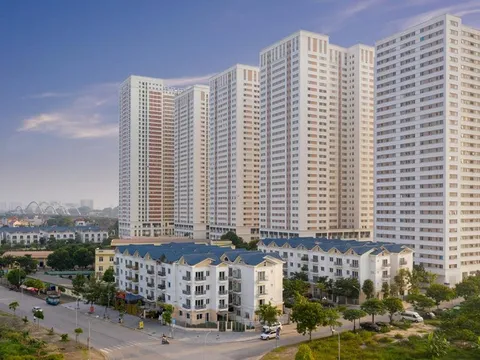 Thời hạn và trách nhiệm bảo hành nhà chung?