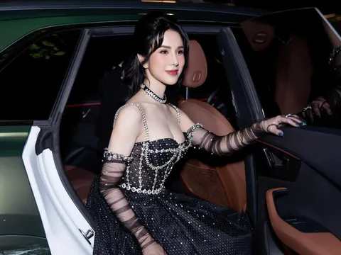 Diệp Lâm Anh đón tin vui hậu lùm xùm ly hôn