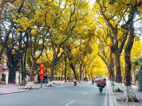 Tin tức dự báo thời tiết hôm nay 13/1: Bắc Bộ sáng có sương mù, trưa trời nắng