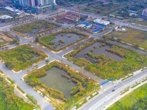 Quảng Nam đề nghị tạm dừng đấu thầu các dự án bất động sản mới