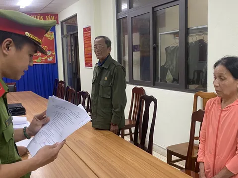Khởi tố vợ chồng chủ doanh nghiệp thuê đất nhà nước rồi phân lô bán nền