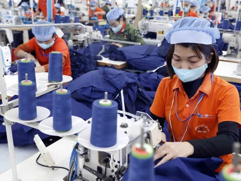 Hơn 200.000 lao động đang bị nợ đóng BHXH