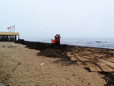 Nghệ An: 100 tấn mùn "tấn công" bãi biển Cửa Lò là rác thải cây cối