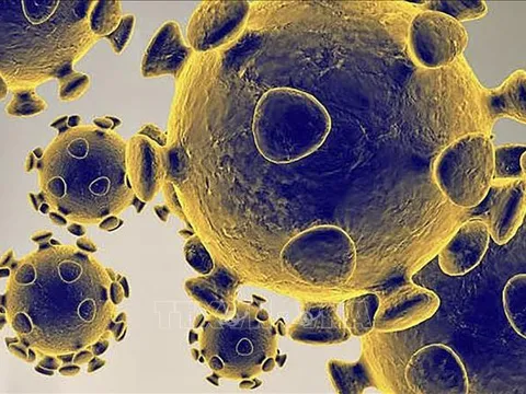 Phát hiện ra loại protein mới có thể ngăn chặn virus SARS-CoV-2