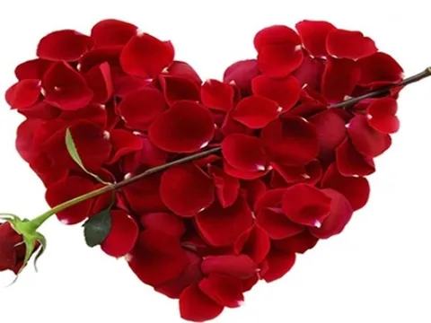 Lời chúc Valentine bằng tiếng Anh hay và lãng mạn nhất
