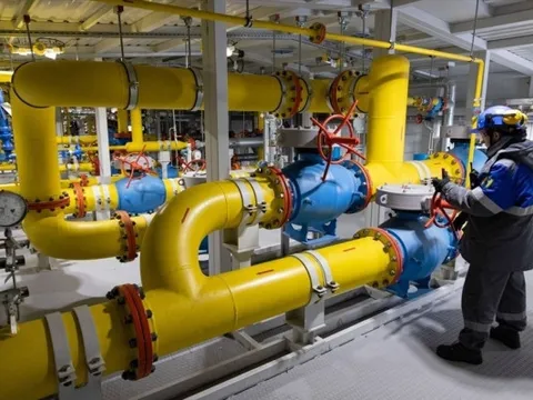 Giá gas hôm nay 15/2: Cập nhật giá gas trong nước và thế giới