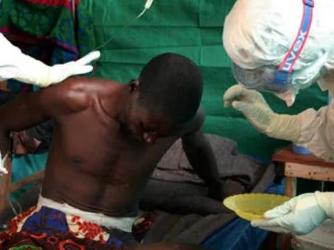 WHO họp khẩn sau khi 9 người tử vong do virus Marburg