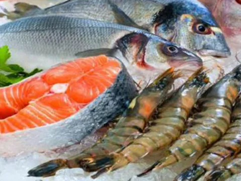 Kinh doanh thực phẩm tươi sống phải đáp ứng các điều kiện nào?