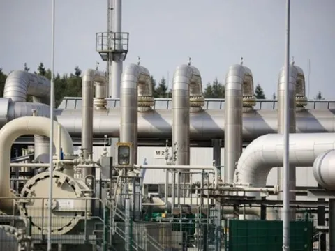 Giá gas hôm nay 20/2: Cập nhật giá gas trong nước và thế giới