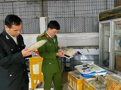 Nghệ An: Hơn 300 cơ sở sản xuất, kinh doanh vi phạm an toàn thực phẩm