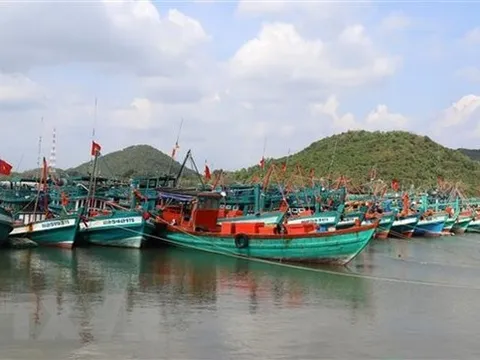 BR-VT: Bắt Giám đốc Trung tâm Đăng kiểm tàu cá và 2 cán bộ cấp dưới