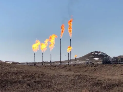 Giá gas hôm nay 27/2: Cập nhật giá gas trong nước và thế giới