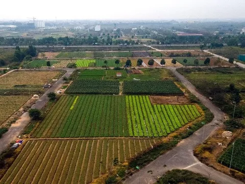 Thu hồi 12 dự án chậm triển khai, Mê Linh sẽ có thêm hàng ngàn ha để phát triển đô thị mới