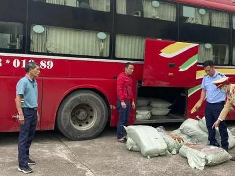 Phát hiện nửa tấn lòng lợn bốc mùi hôi thối trong xe khách dừng đỗ ven đường