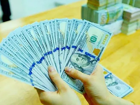 Tỷ giá USD hôm nay 23/3: Cập nhật tỷ giá USD trong nước và quốc tế