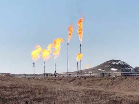 Giá gas hôm nay 31/3: Cập nhật giá gas trong nước và thế giới