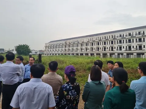Đồng Nai: 681 trường hợp vi phạm về sai phép, không phép