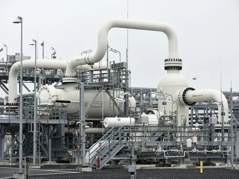 Giá gas hôm nay 15/4: Cập nhật giá gas trong nước và thế giới
