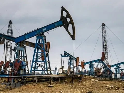 Giá xăng dầu hôm nay 24/4: Cập nhật giá xăng dầu trong nước, quốc tế