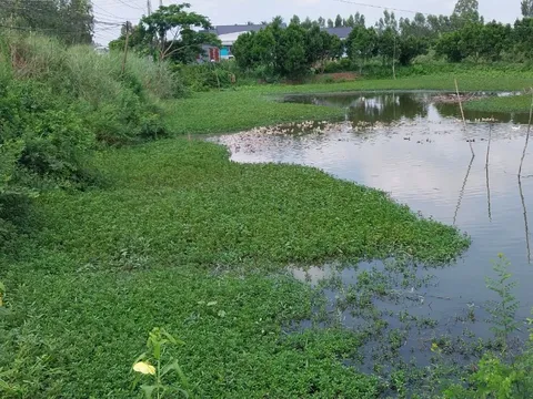 Đồng Tháp: Hơn 30 năm sử dụng đất, nay bị tòa tuyên trả lại do không có tài liệu chứng minh việc tặng cho