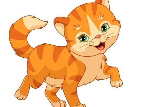 3 con giáp cả đời không thiếu người theo đuổi