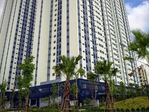 Hải Phòng: Hướng dẫn quản lý vận hành chung cư thuộc sở hữu Nhà nước