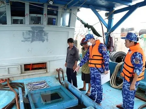 Kiên Giang: Bắt giữ tàu vận chuyển 30.000 lít dầu DO trái phép
