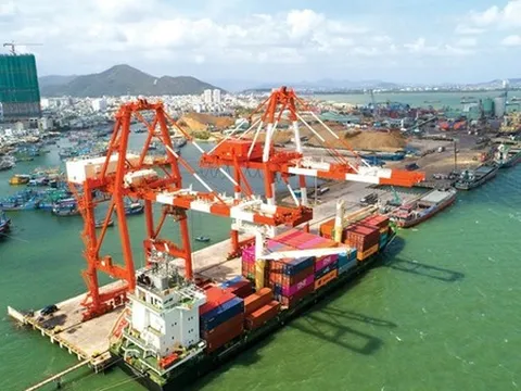 Lợi nhuận năm 2022 Cảng Quy Nhơn sụt giảm thê thảm do đâu?