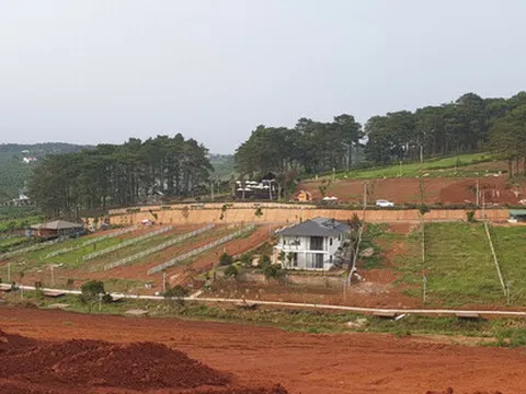 Lâm Đồng hủy bỏ nhiều quy định về phân lô, tách thửa