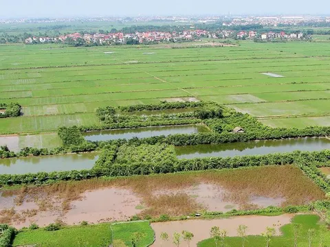 Điều kiện góp vốn bằng quyền sử dụng đất nông nghiệp để thực hiện dự án kinh doanh?