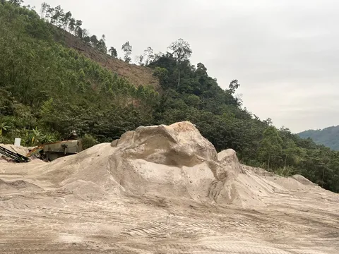 Bắc Giang: Xử phạt Cty TNHH Vận tải Xương Giang 67,5 triệu đồng do vi phạm về đất đai