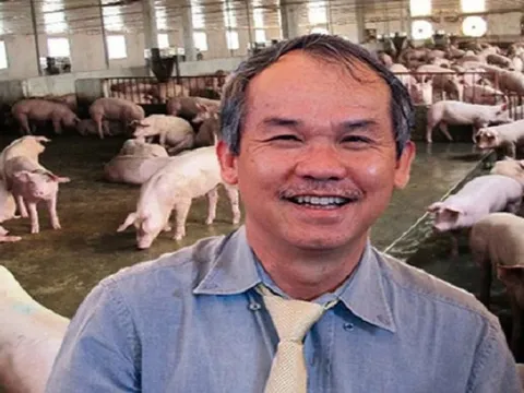 Chăn nuôi heo thất bát, trồng chuối tiếp tục cứu lỗ cho doanh nghiệp bầu Đức
