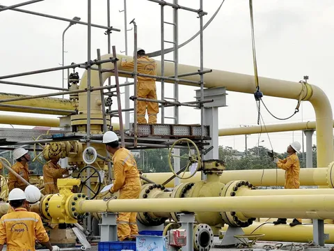 Giá gas hôm nay 21/6: Cập nhật giá gas trong nước và thế giới