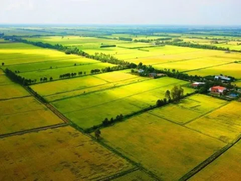 Thu hồi Giấy chứng nhận quyền sử dụng đất đã cấp không đúng quy định như thế nào?