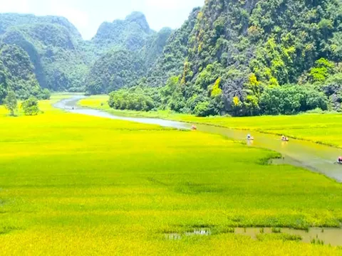 Khu du lịch Tam Cốc - Bích Động tạm dừng đón khách tham quan