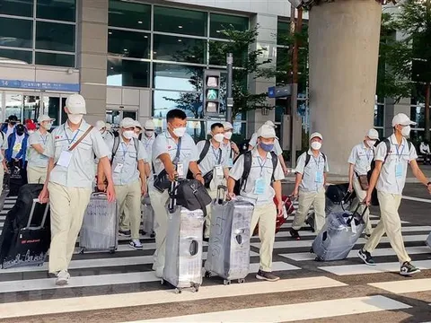 Hàng loạt doanh nghiệp xuất khẩu lao động bị thu hồi giấy phép, xử phạt